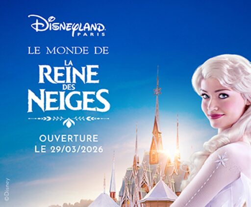 Billet 2 jours/2 parcs