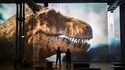 Atelier des Lumières Photos Paris 6