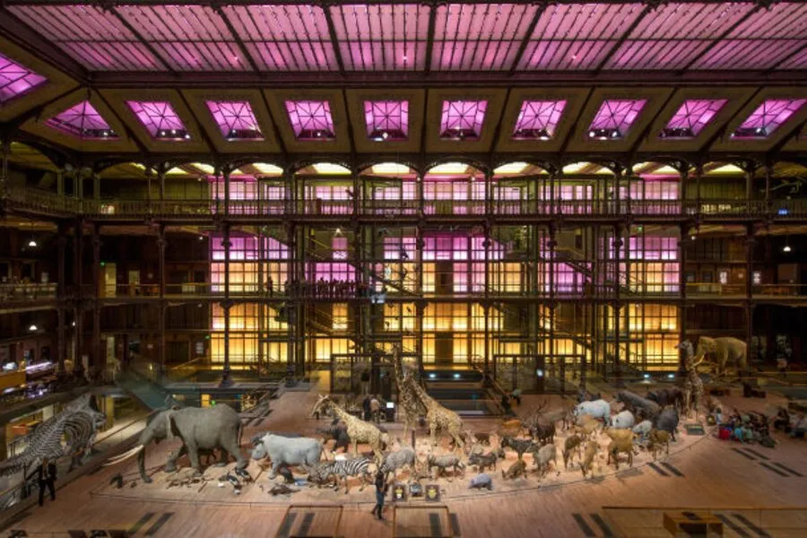 The Museum National D Histoire Naturelle De Paris the-museum-national-d-histoire-naturelle-de-paris