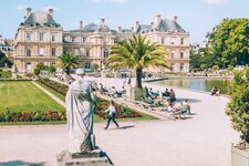 Lupin Luxembourg
