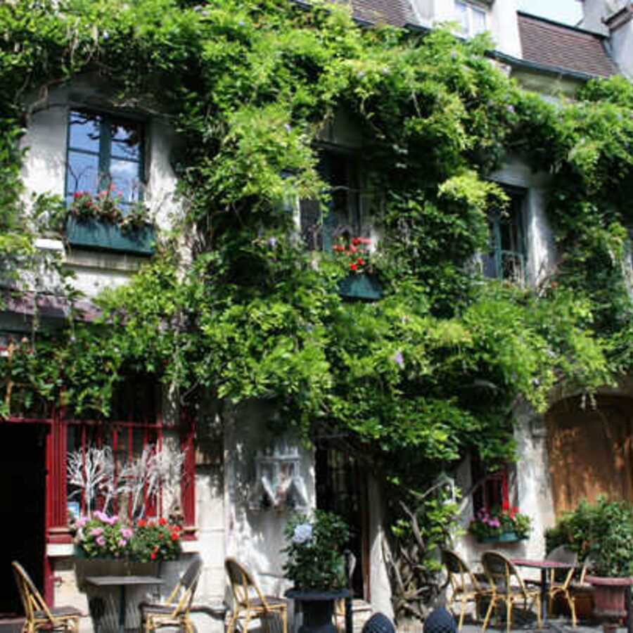 Cultur'Ailes - Teambuilding