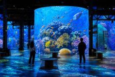 Atelier des Lumières - Planète Océans 2026 - Fonds marins