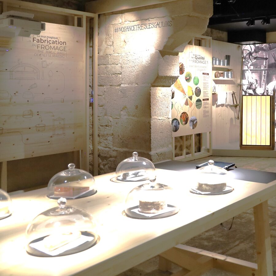 Musée vivant du Fromage : voir fabriquer et déguster à Paris