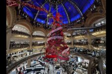 Vitrines Galeries Lafayette 2025 - Sapin Etoile d'or
