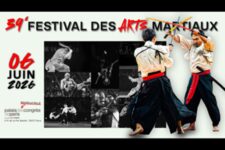 Festival des arts martiaux - Affiche 2026