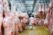 Visite-Rungis-Secteur-des-Produits-carnés-du-Marché-de-Rungis
