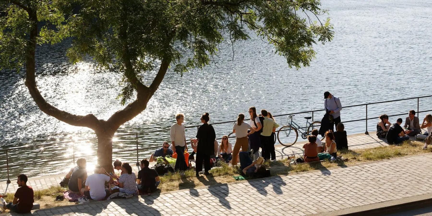 Parc Rives de Seine — relaxation under a tree
