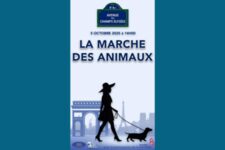 Marche des animaux - Affiche 2025