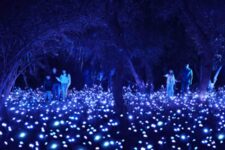 Moment Factory - Light Cycles - Santiago - Crystal Grove
