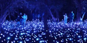Moment Factory - Light Cycles - Santiago - Crystal Grove