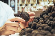 Truffes Folies Paris 7 - Truffes fraîches - Truffes Folies 