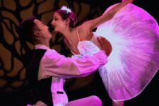 Ballet of Lights - La Belle au bois dormant - Danseurs rose