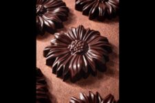 Fleur de Chocolat