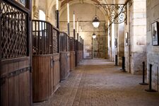 Académie équestre du Domaine de Versailles-écurie