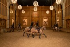 Académie équestre du Domaine de Versailles-La Voie de l'écuyère