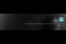 The Swarm Initiative-photo3
