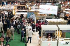 Salon International de l'agriculture - Vue de Haut