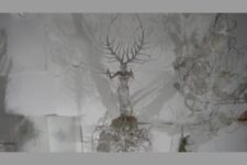 Saison "Normes Corps" au Palais de Tokyo - Studio, Wounds and Battles, Desire is the Reiteration of Hope. Cathy de Montchaux