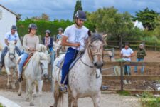 ORGANIZEO_ACTIVITE DE COHESION