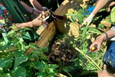 Maison du jardinage et du compostage - Atelier