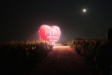 Nuit blanche 2026 - MILOSH ŁUCZYŃSKI / Grand Cœur - Big heart 2025