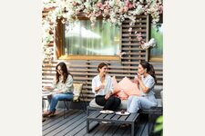 Le jardin du Pullman Paris Bercy 