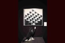 Escher, Bricks of Wonde
