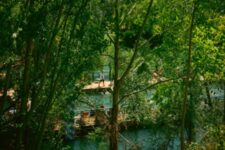 Plonger au vert dans la Marne © Neuilly-sur-Marne