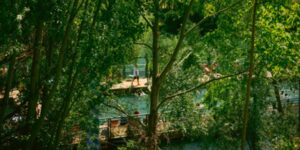 Plonger au vert dans la Marne © Neuilly-sur-Marne