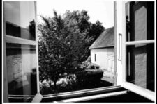 Daido Moriyama, Saint-Loup-de-Varennes, France, 2008, in Jikkenshitsu kara no ngama / View from the Laboratory, 2013
