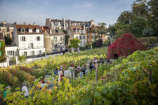 Fêter les vendanges à Montmartre, Paris 18e © Erwan Floch