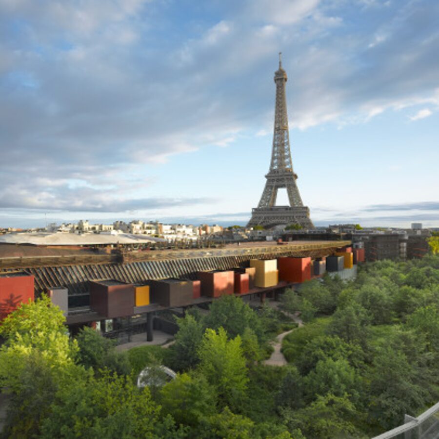 Plumes from Paradise - exhibition - Musée du quai Branly