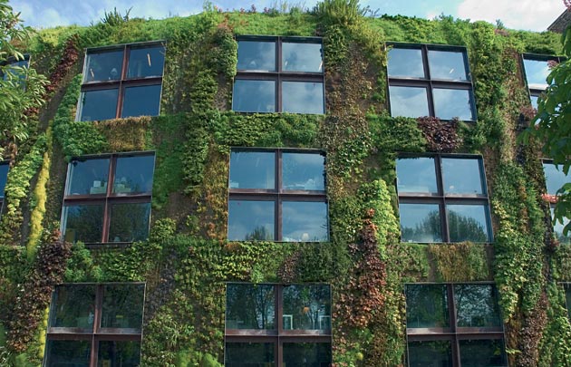 Plant wall, Musée du quai Branly