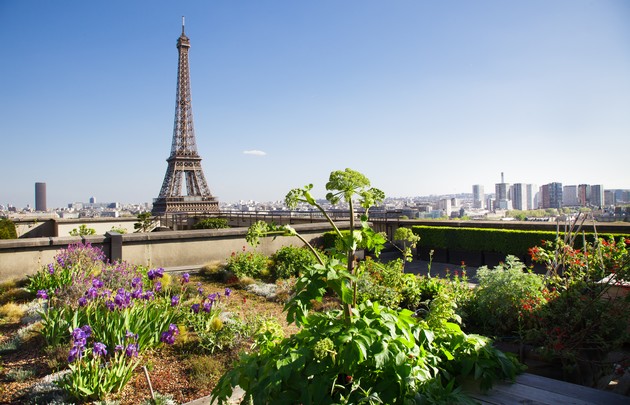 Toiture végétalisée Palais de Chaillot