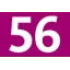 56 56